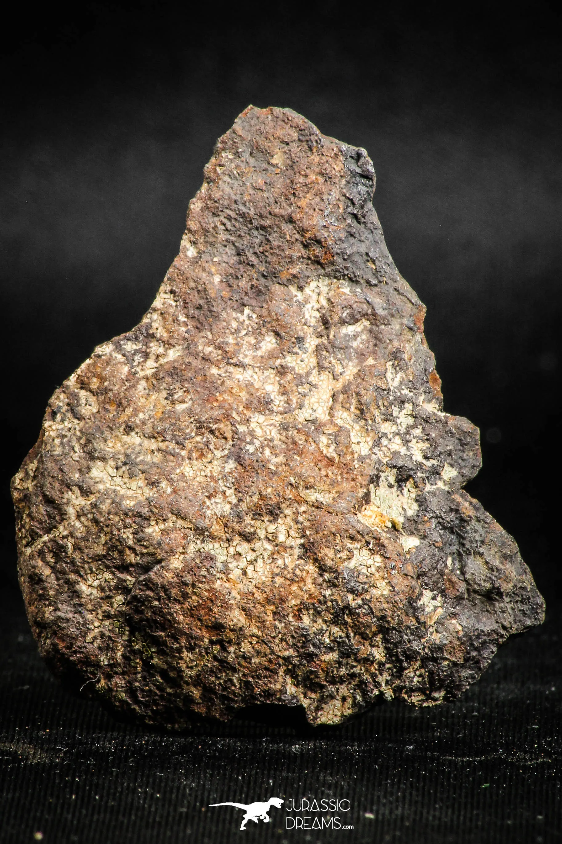 05112 - Beautiful Polished Section NWA Unclassified L-H Type Ordinary Chondrite Meteorite 13.0g