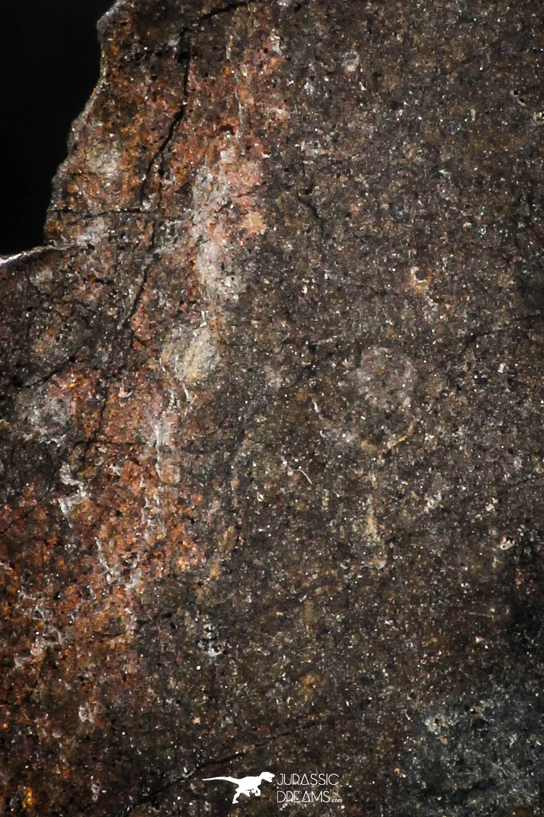 05112 - Beautiful Polished Section NWA Unclassified L-H Type Ordinary Chondrite Meteorite 13.0g