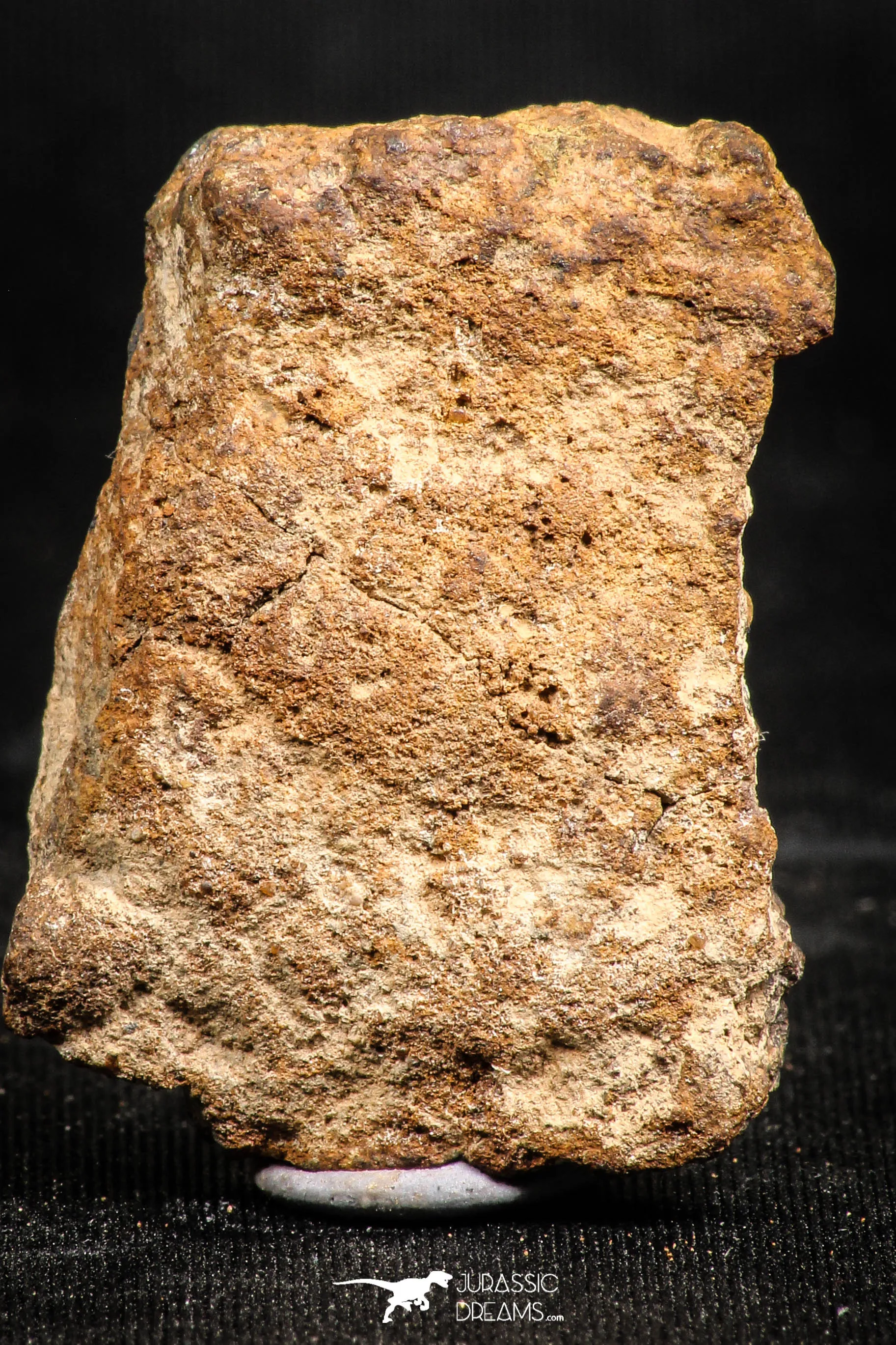 06001 - Nice Polished Section NWA Unclassified L-H Type Ordinary Chondrite Meteorite 18.0g