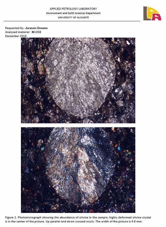 06001 - Nice Polished Section NWA Unclassified L-H Type Ordinary Chondrite Meteorite 18.0g