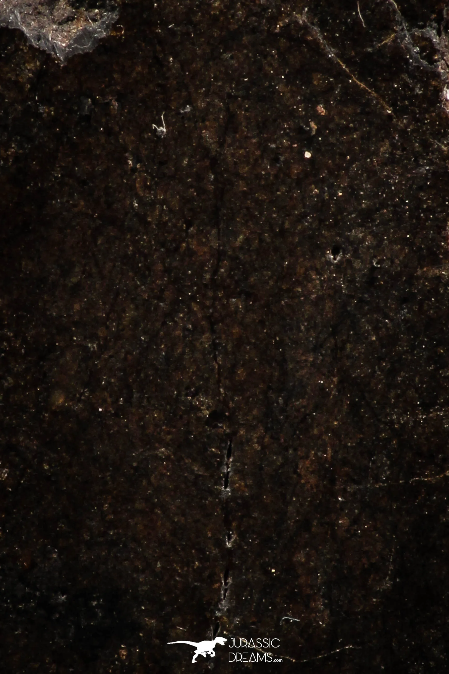 06288 - Nice Polished Section NWA Unclassified L-H Type Ordinary Chondrite Meteorite 42.0g