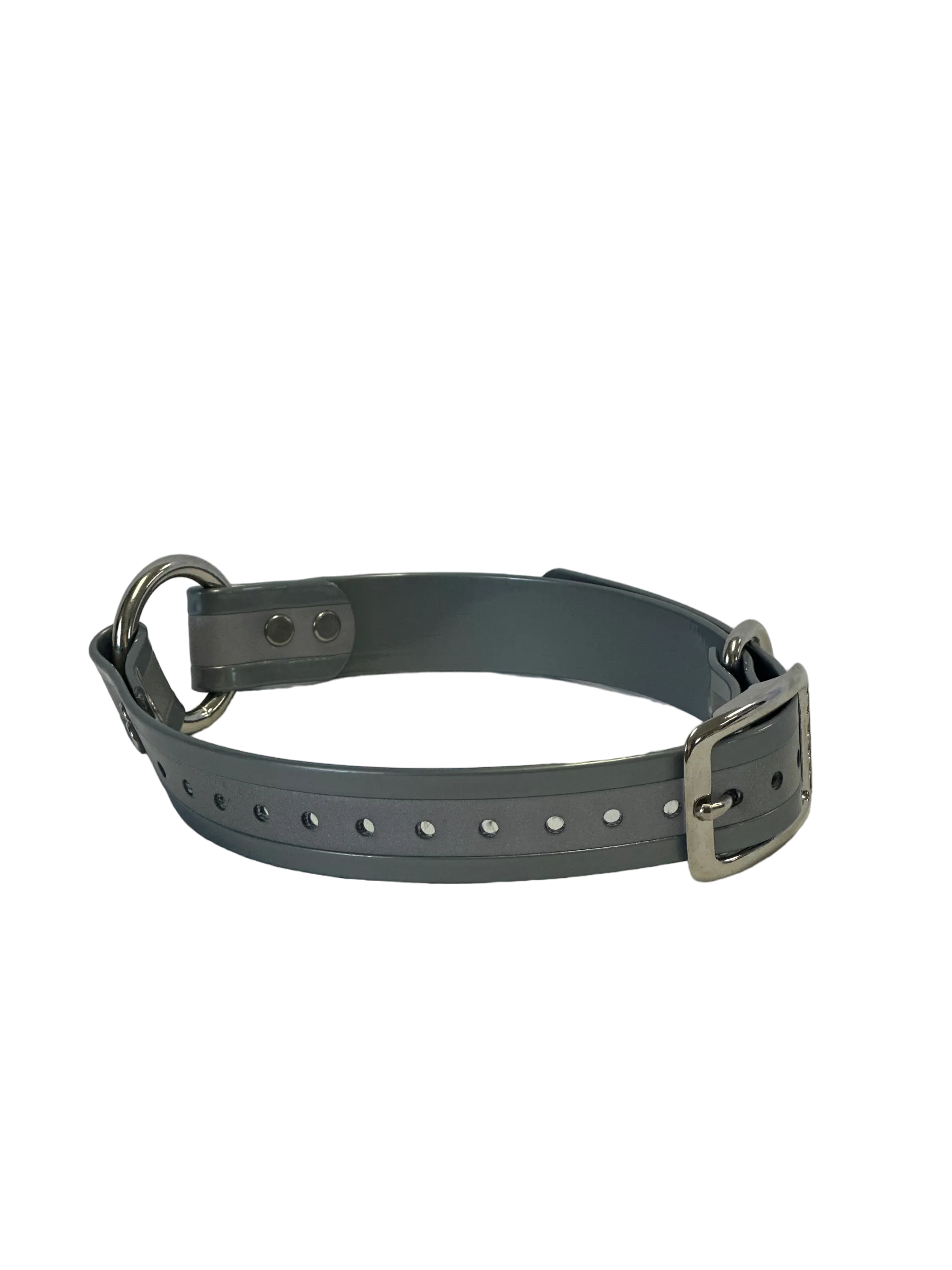 1'' Dayglo Reflective Collar w Center Ring