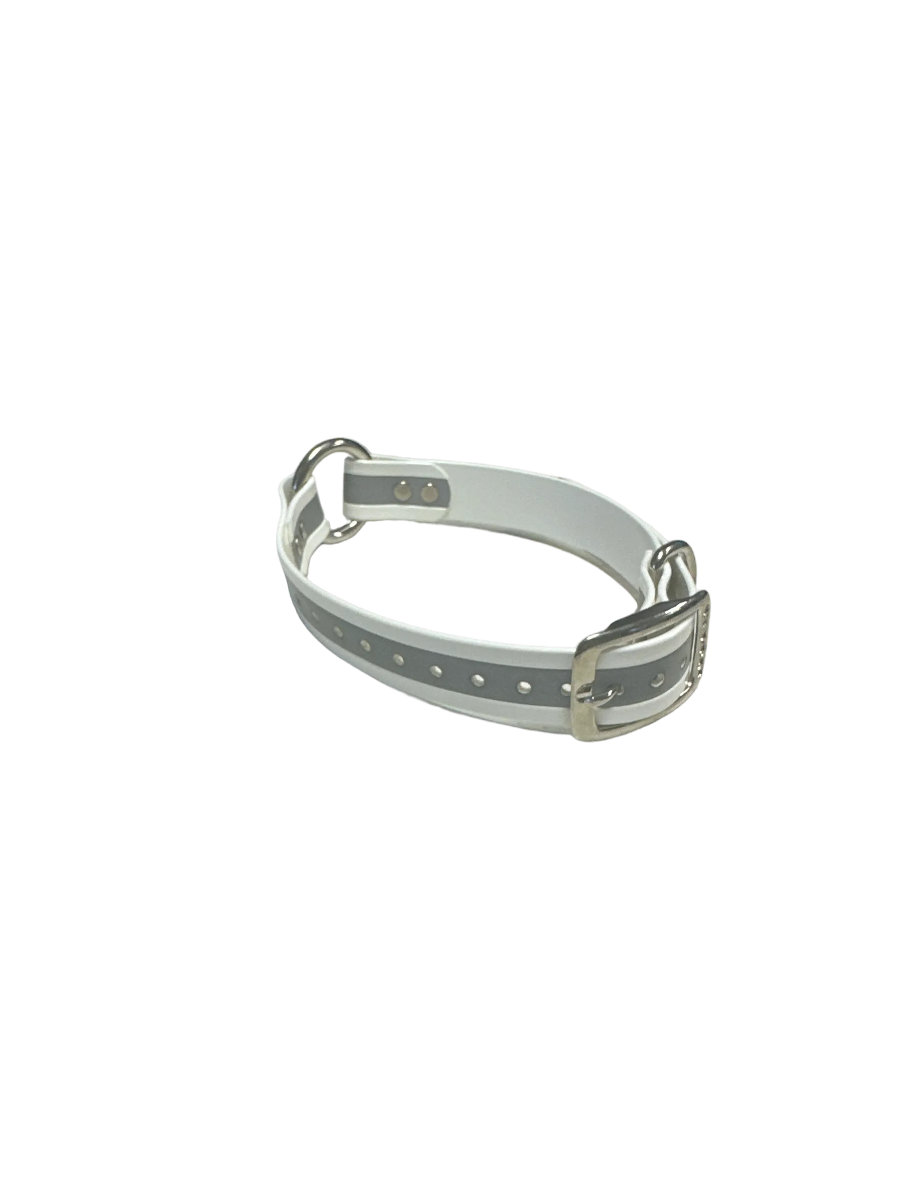 1'' Dayglo Reflective Collar w Center Ring