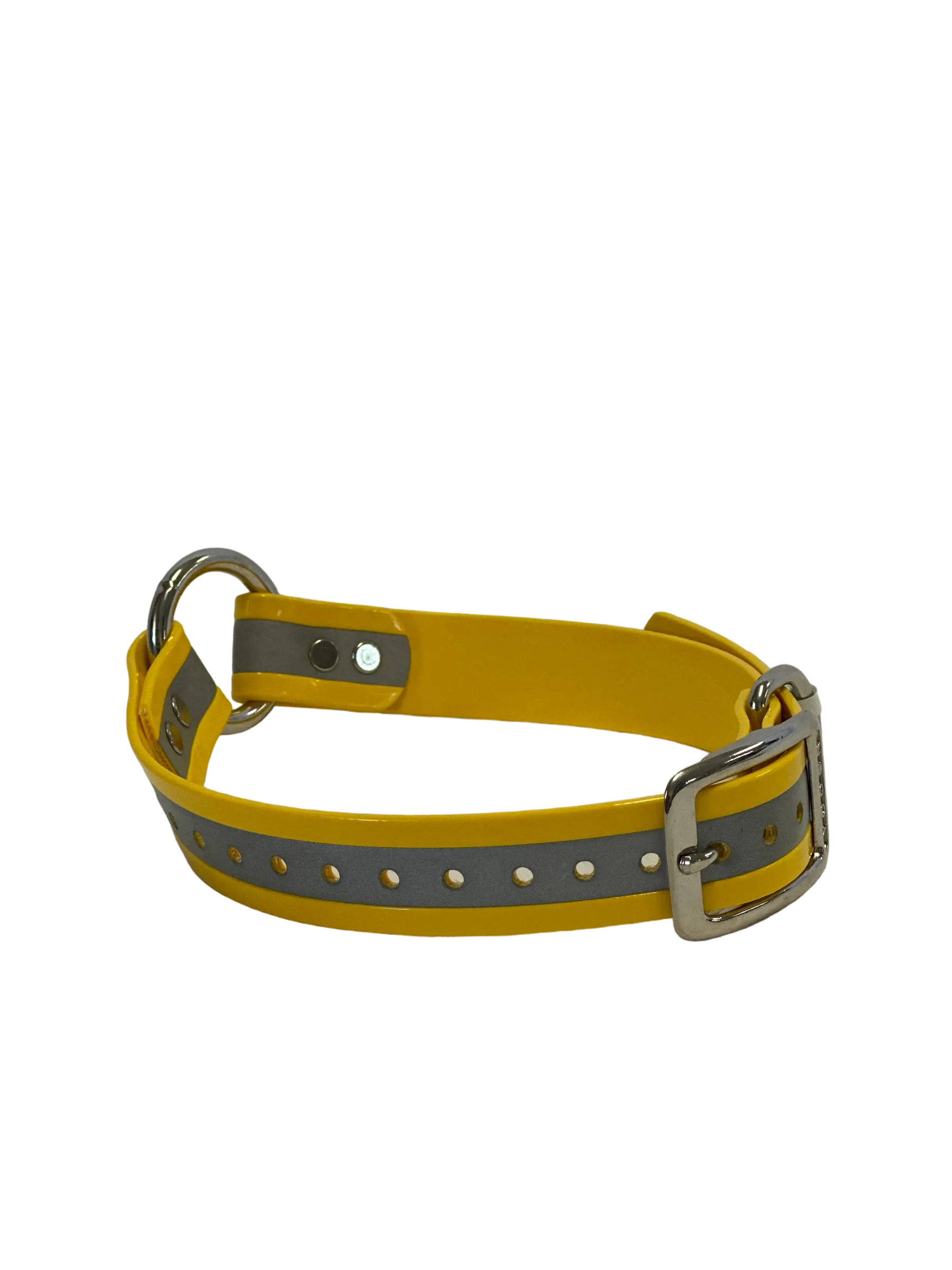 1'' Dayglo Reflective Collar w Center Ring
