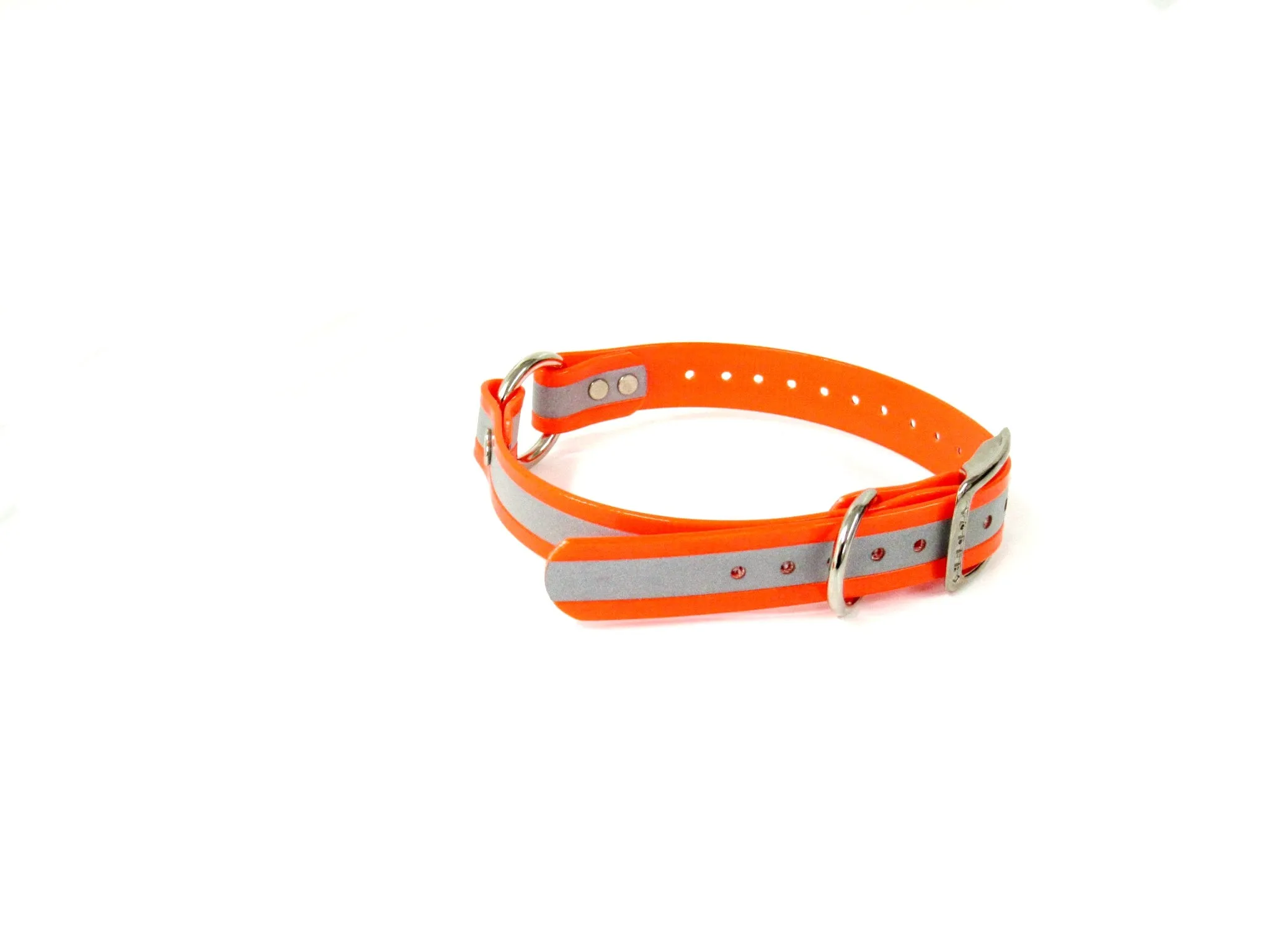 1'' Dayglo Reflective Collar w Center Ring