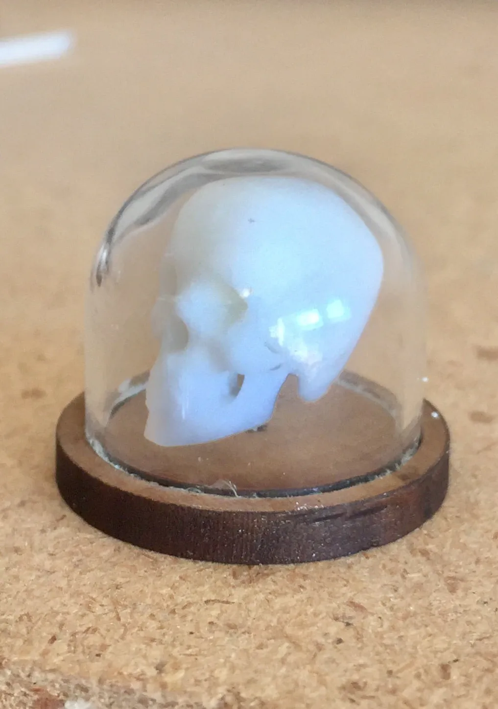 3D Printed Skulls