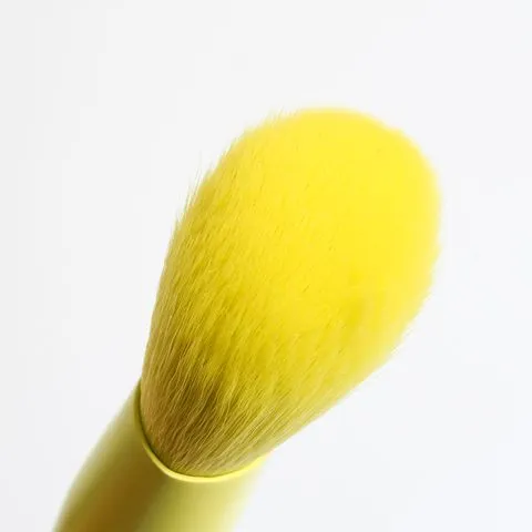 4 Piece Makeup Brush Set & Brush Pouch