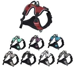 Alpine Reflective Harness
