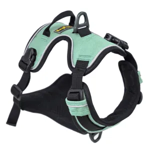 Alpine Reflective Harness