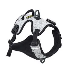 Alpine Reflective Harness