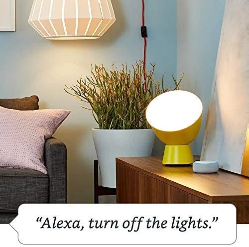Amazon Smart Plug, for home automation, Works with Alexa - A Certified for Humans Device