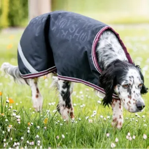 Amigo® Ripstop Dog Rug
