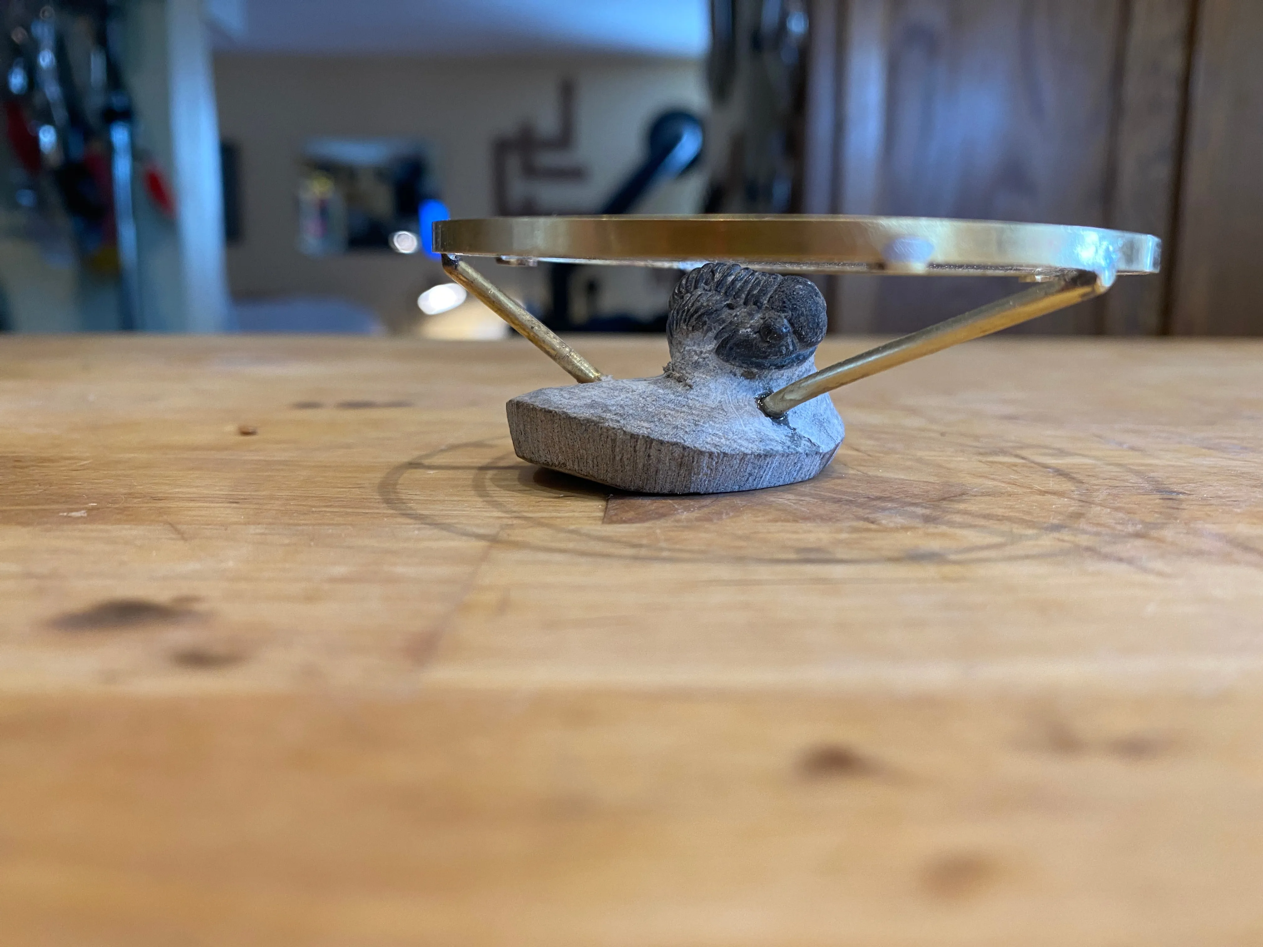 Anderson Fossil-In-A-Rock Table