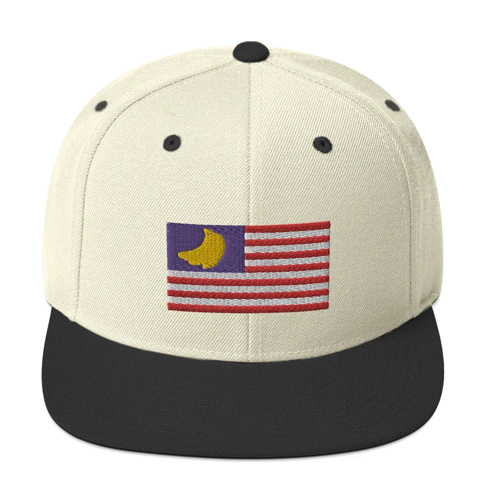 Banana Republic?? Snapback Hat