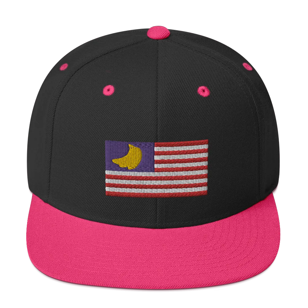 Banana Republic?? Snapback Hat
