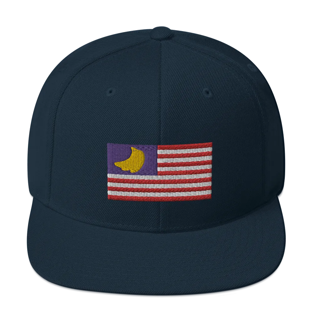 Banana Republic?? Snapback Hat