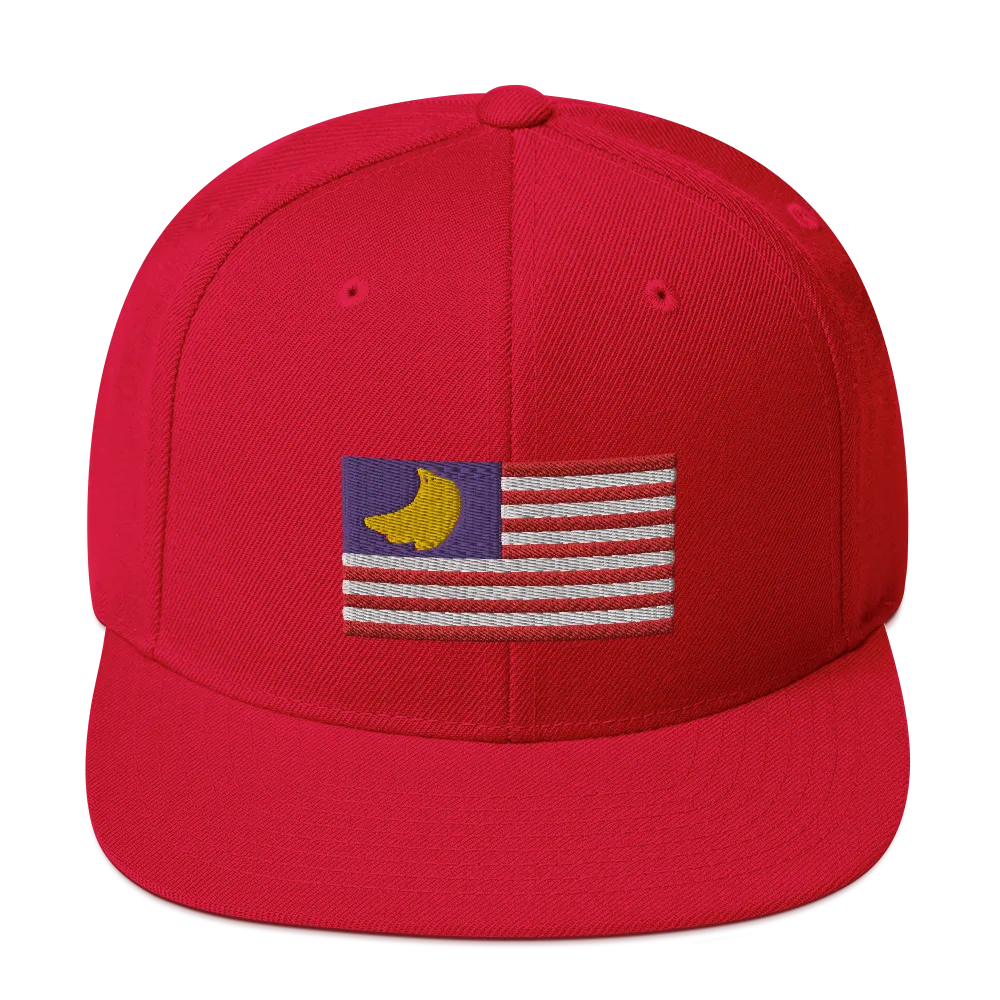 Banana Republic?? Snapback Hat