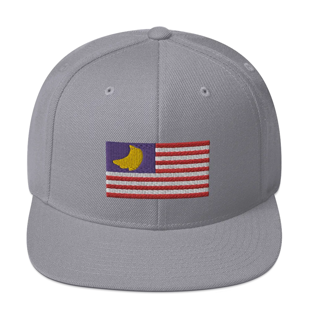 Banana Republic?? Snapback Hat