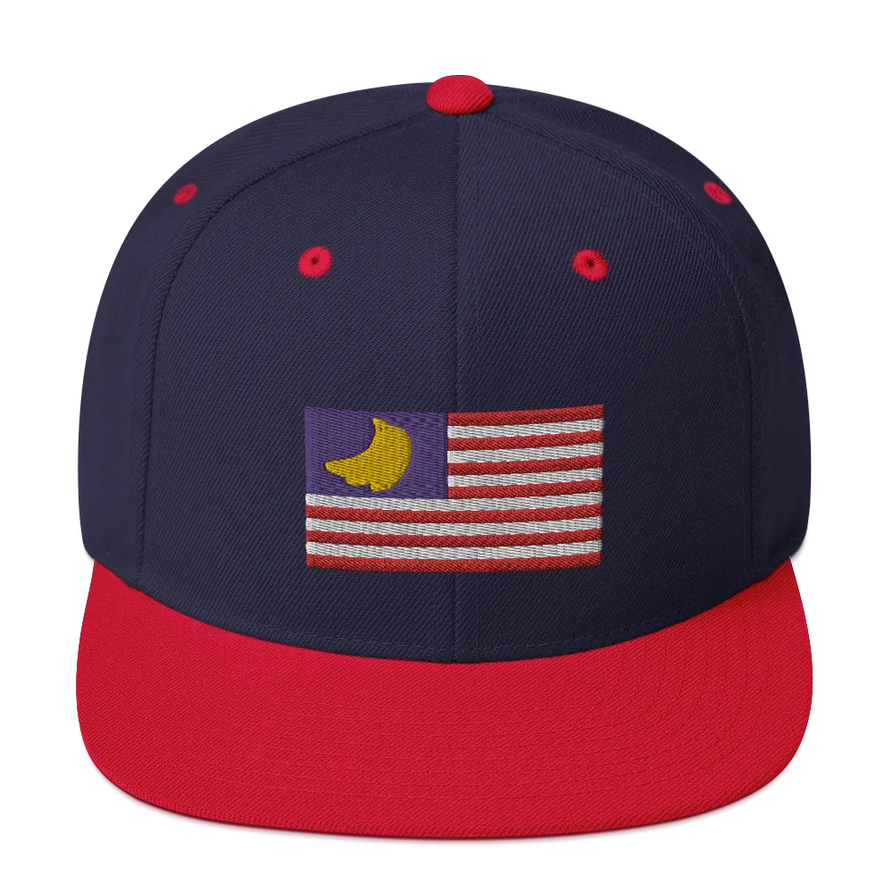 Banana Republic?? Snapback Hat
