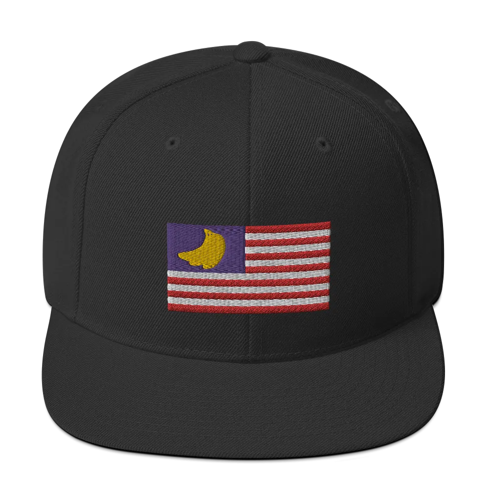 Banana Republic?? Snapback Hat