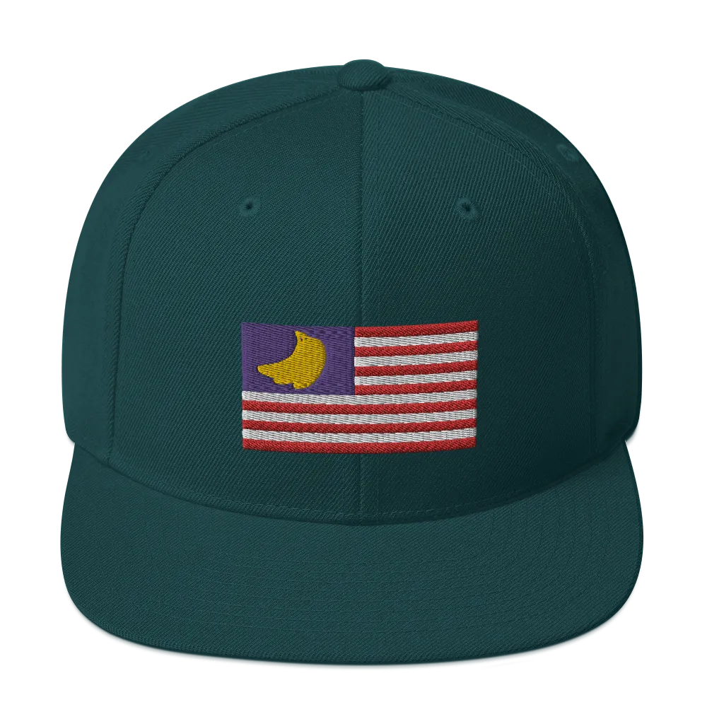 Banana Republic?? Snapback Hat