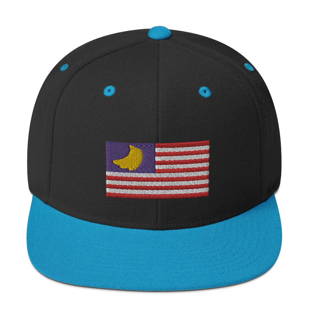 Banana Republic?? Snapback Hat