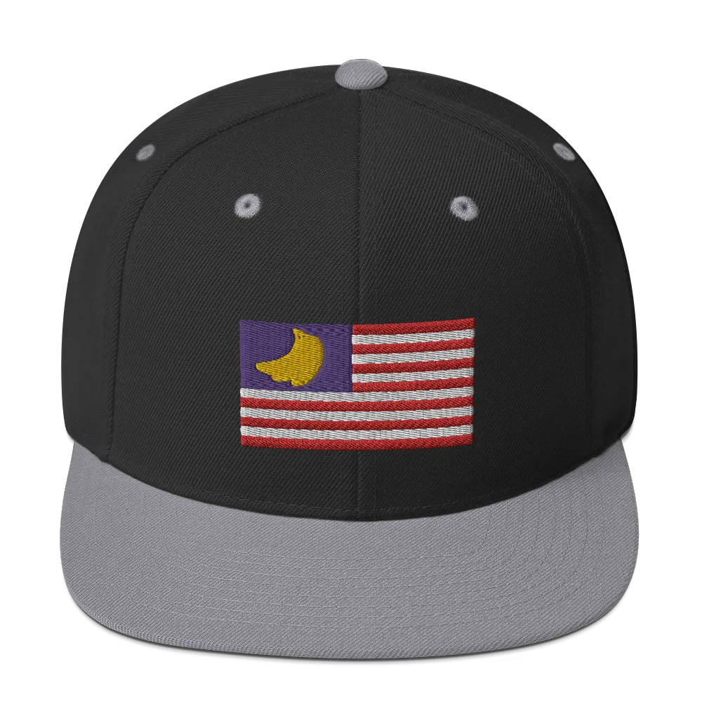 Banana Republic?? Snapback Hat