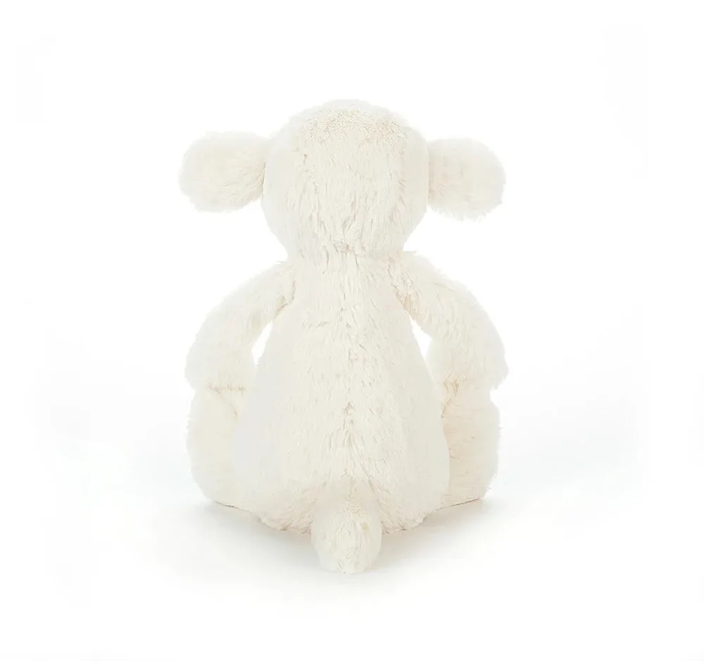 Bashful Little Lamb