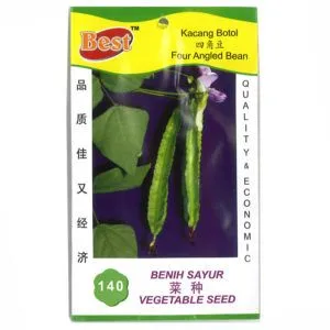 BEST Seed #140 Four Angled Bean