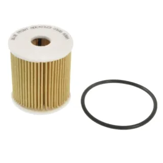 Blue Print Oil Filter - ADC42123 (WCO116 / R2668P)