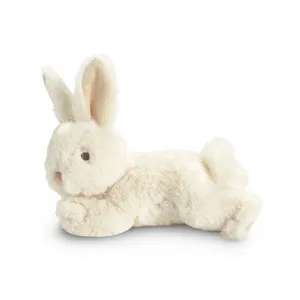 BUNNY PLUSH A companion to the book You Belong Here