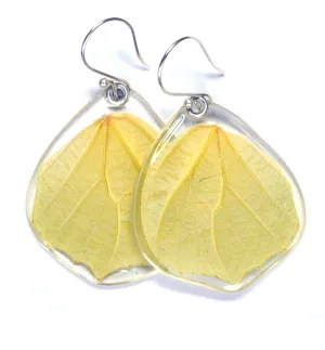 Butterfly Earrings, White Angled Sulphur, Bottom Wing