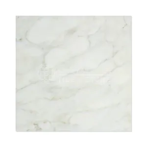 Calacatta Gold (Italian Calcutta) Marble 12 X 12 Field Tile (Lot of 50 pcs. (50 sq. ft.), Polished)