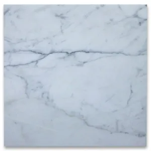 Calacatta Gold Italian Calcutta Marble 18x18 Tile Polished - 198 sq.ft.