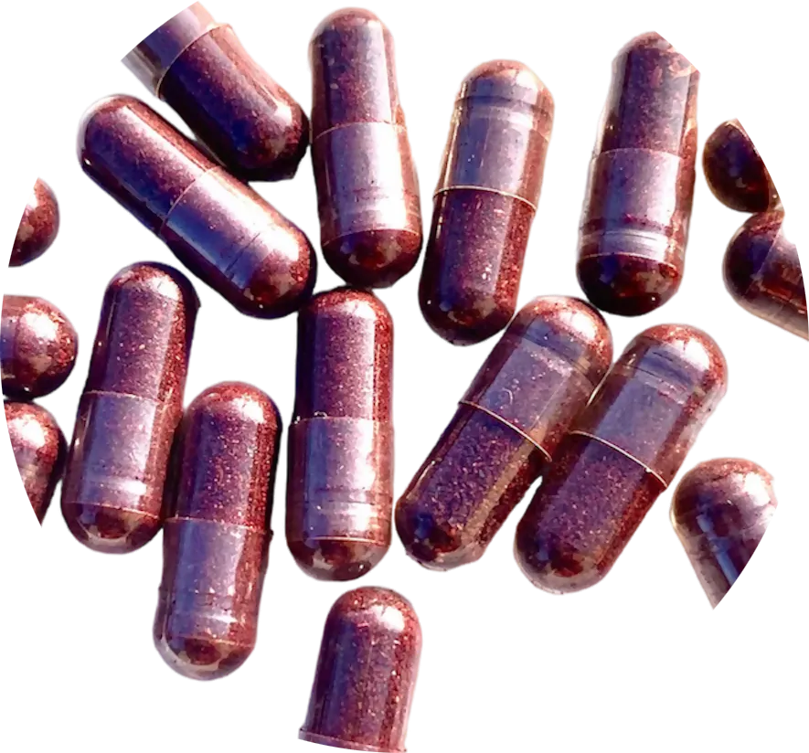 Capsules d'aronia - supplément végétal antioxydant