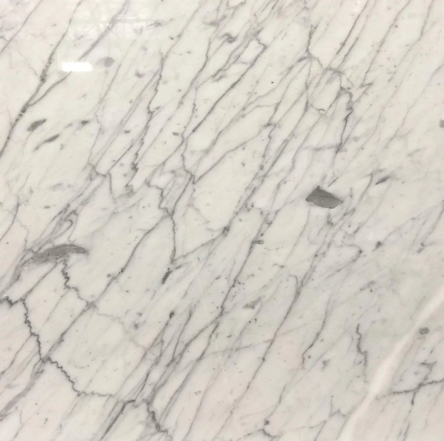 Carrara Marble Italian White Bianco Carrera 12x12 Marble Tile Polished