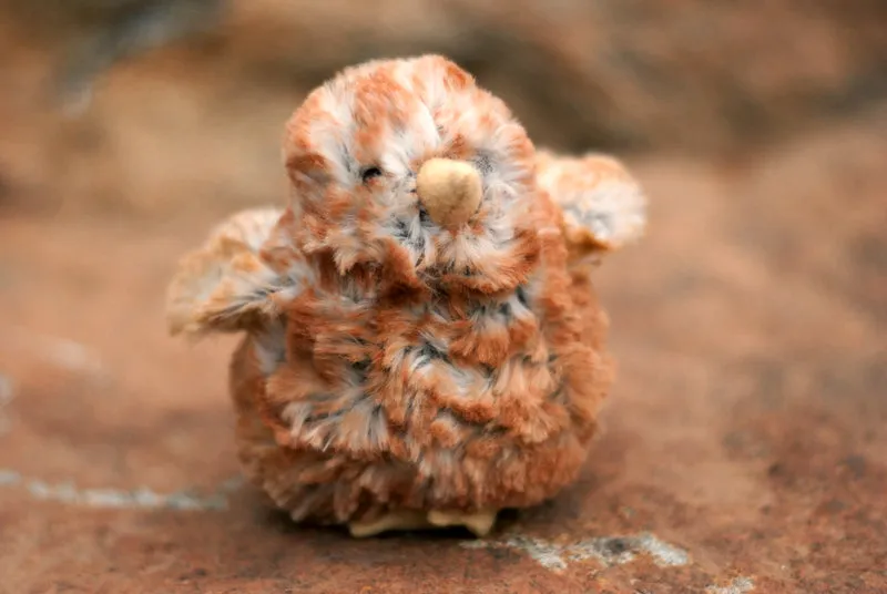 Chick Plush