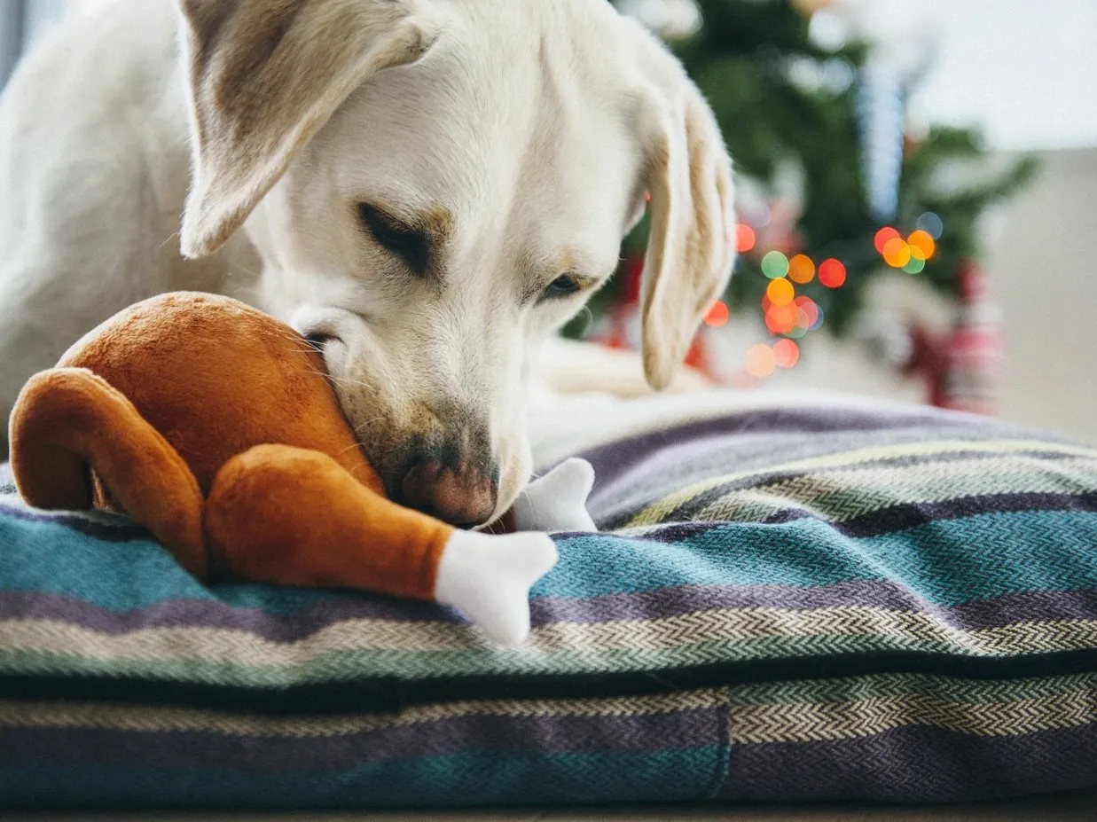 Christmas Roast Turkey Plush Toy