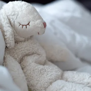 Cuddly Animal White Sheep - Small