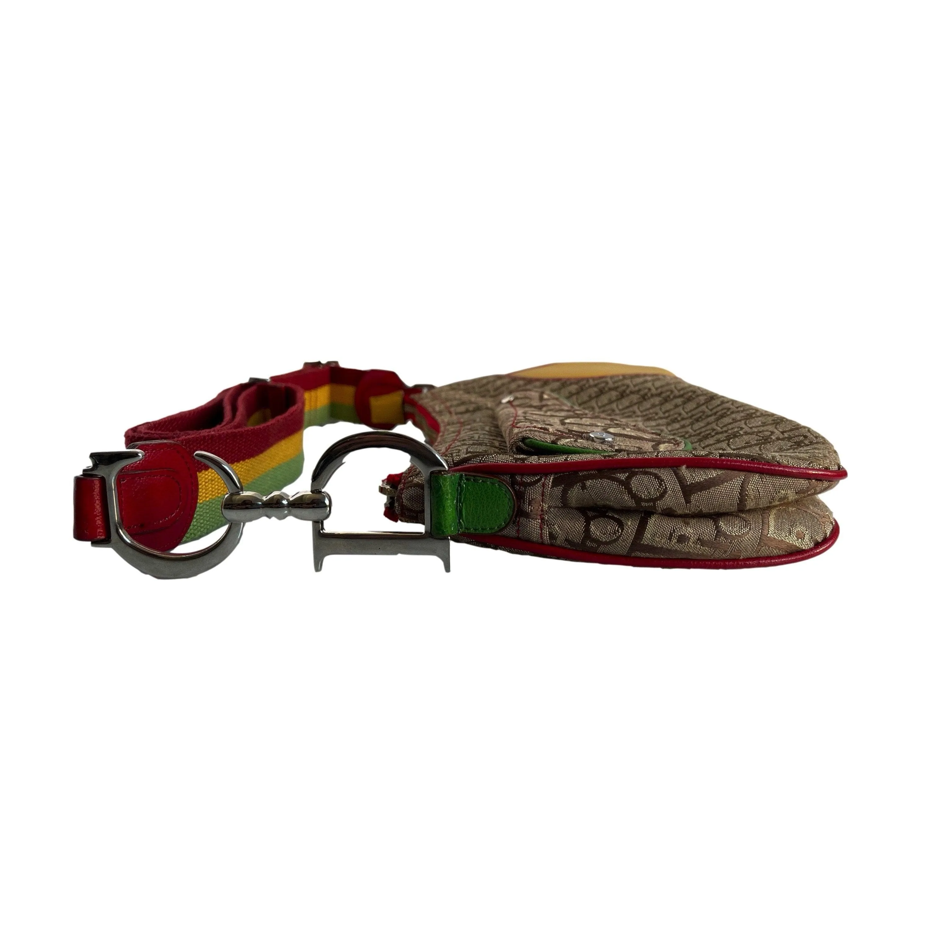 Dior Multicolor Rasta Crossbody Bag