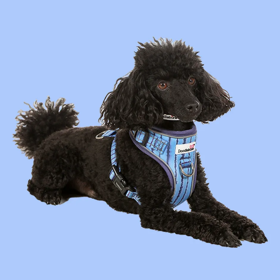 DoodleBone AirMesh Harness Aurora