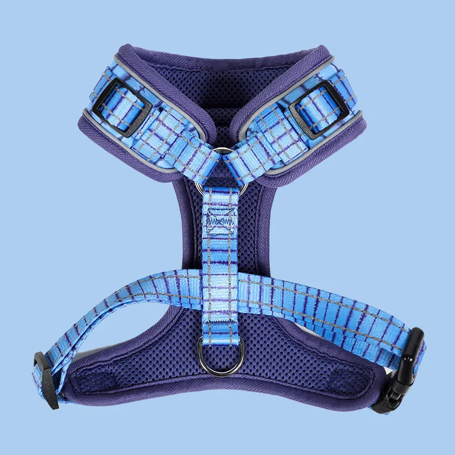 DoodleBone AirMesh Harness Aurora