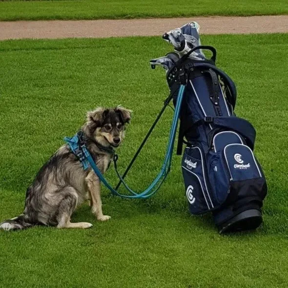 Double Ended Dog Lead