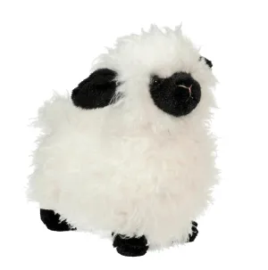 Douglas - Softs - Shiloh Lamb
