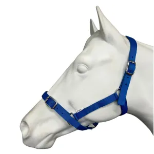 Eureka Essential Halter Royal Blue