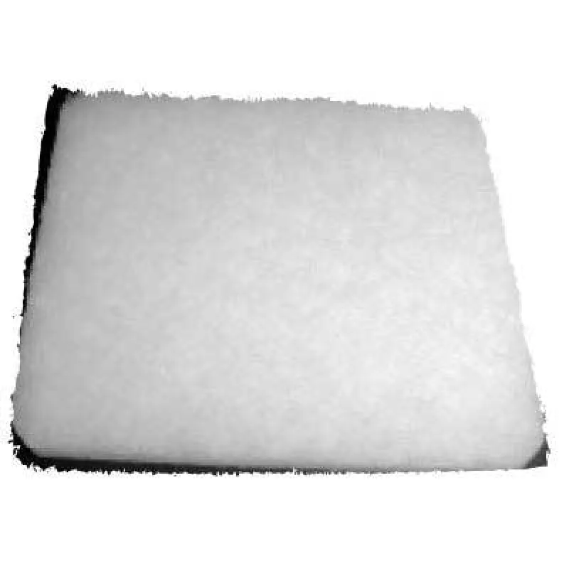 Eureka Victory Secondary Filter