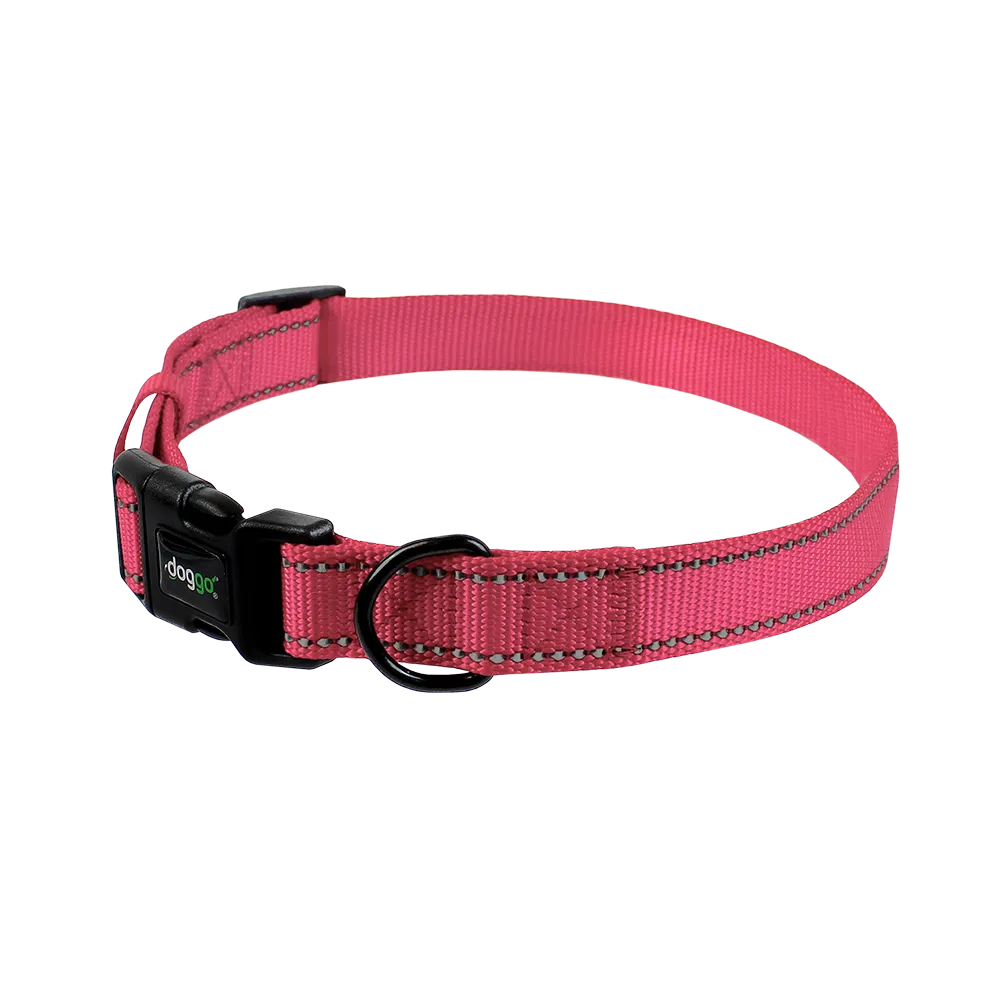 Everyday Nylon Collar