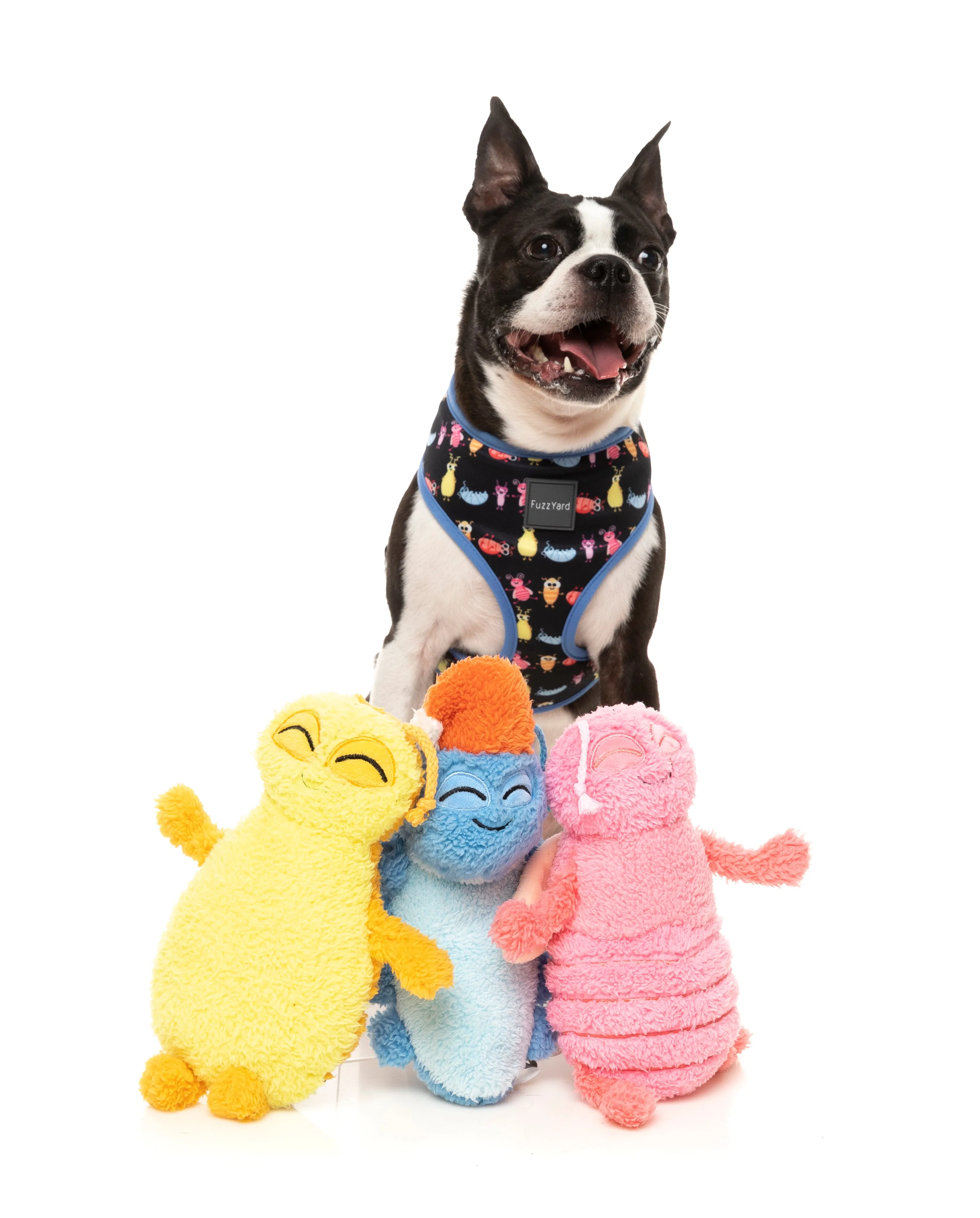 Flutter The Bed Bug Dog Toy
