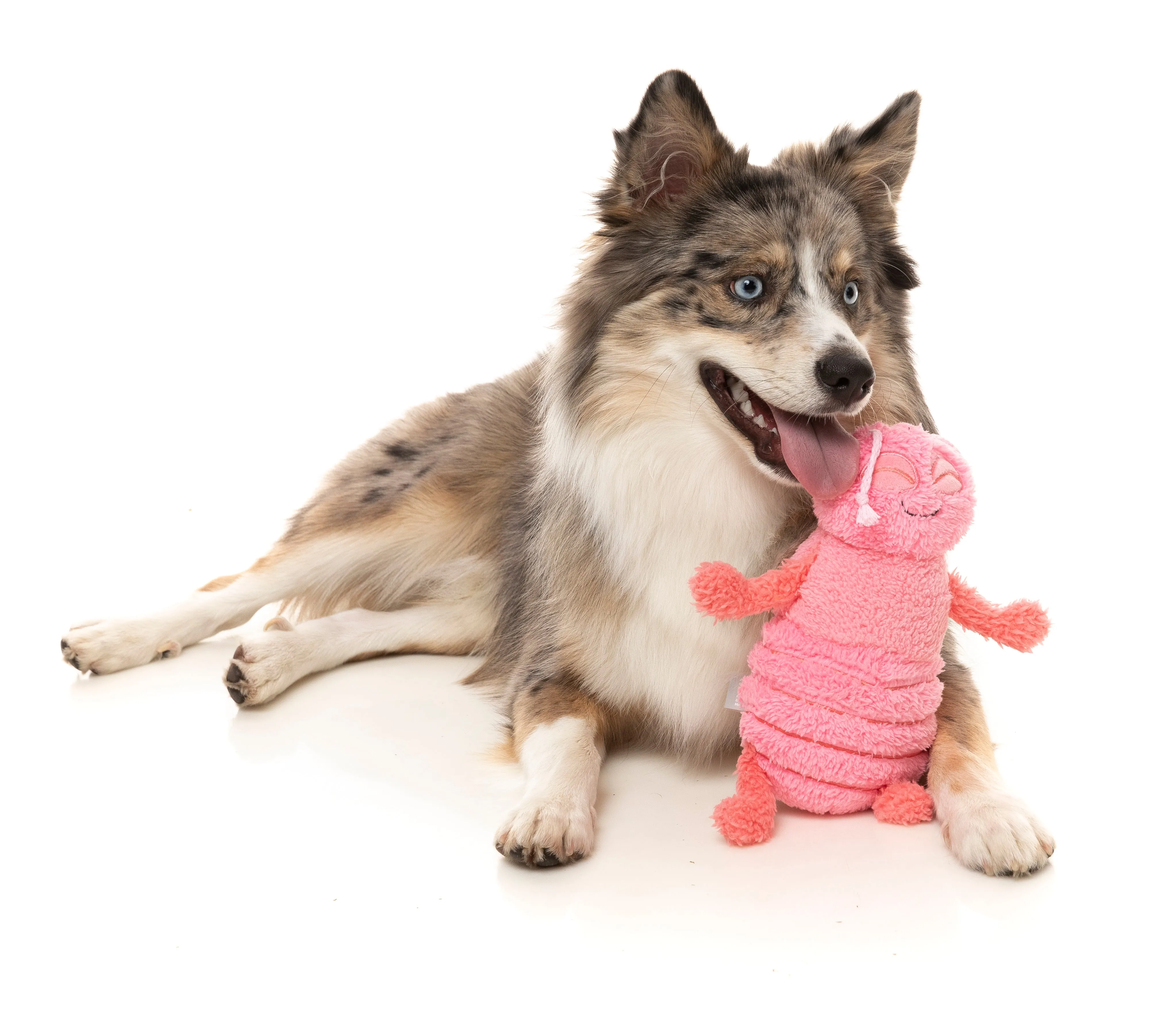 Flutter The Bed Bug Dog Toy