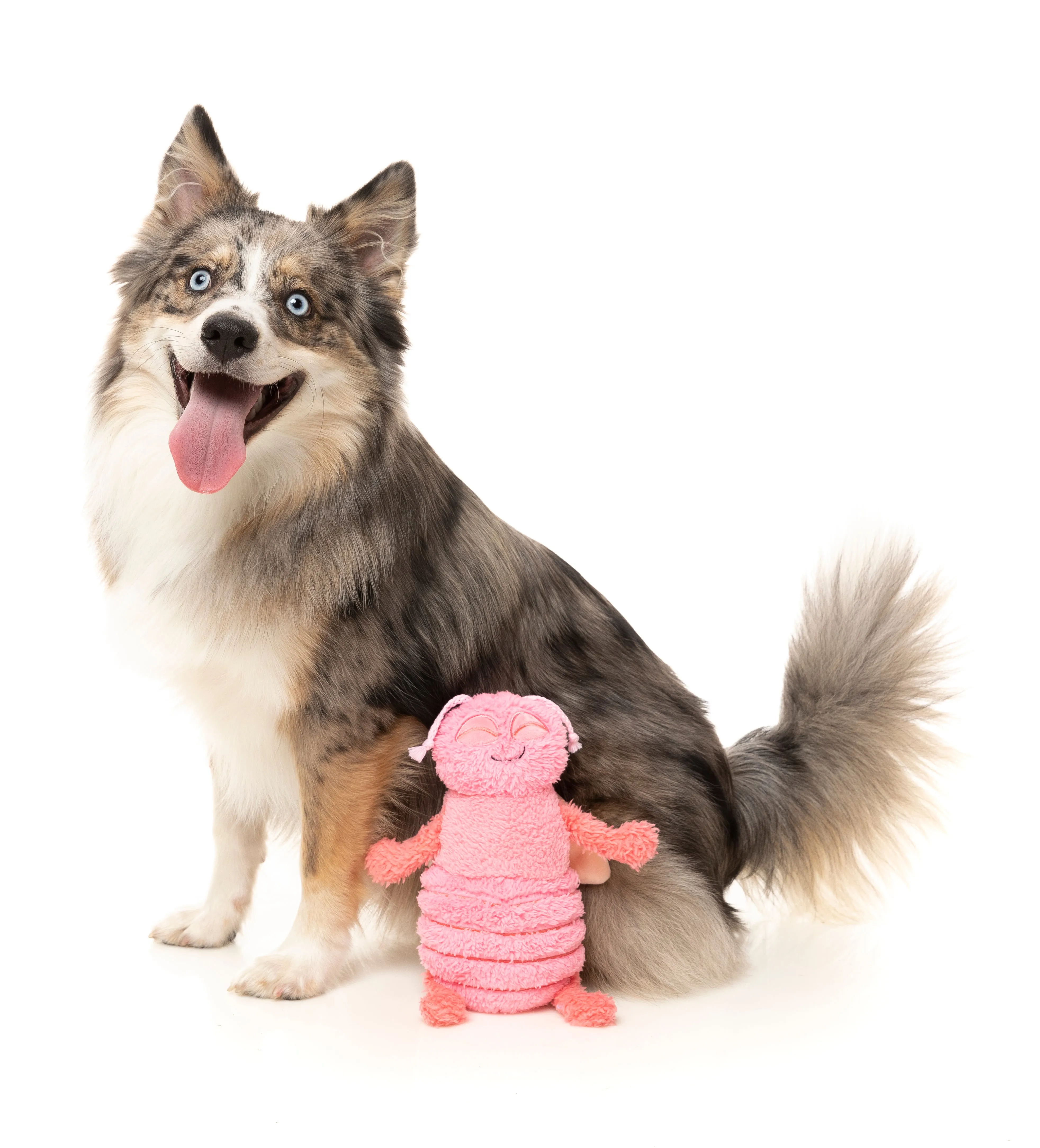 Flutter The Bed Bug Dog Toy